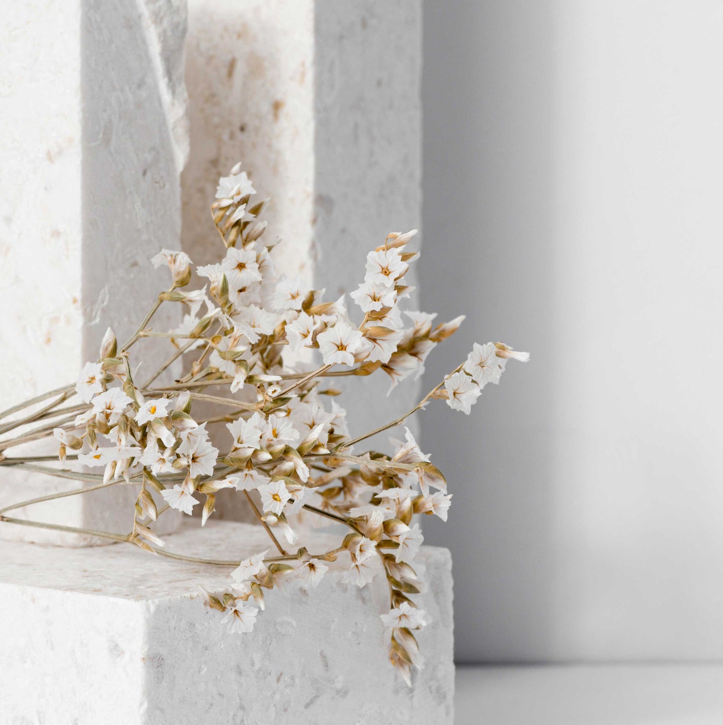 tooth care during pregnancy. Oral health hygiene and damage to your teeth during pregnancy and vomiting.